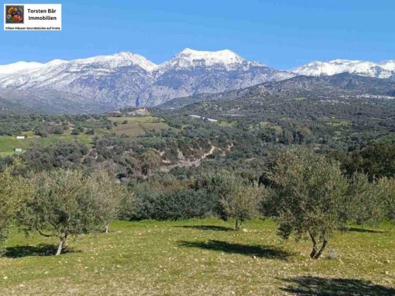 Kalochorafitis Kreta, Kalochorafiti: Landwirtschaftliches Grundstück mit 170 Olivenbäumen Grundstück kaufen